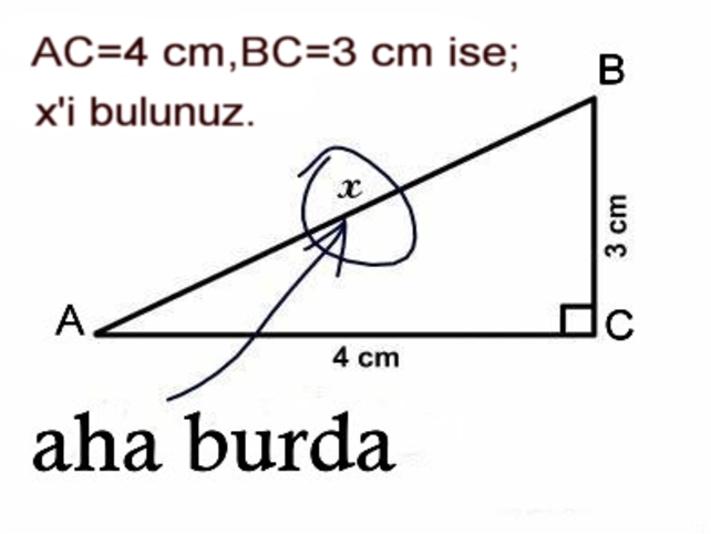 matematik-karikat%C3%BCr-2.png